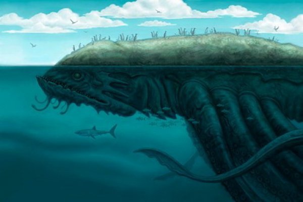 Kraken актуальное