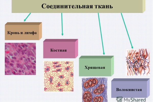 Kraken актуальный сайт