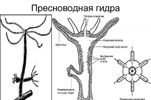 Как зарегистрироваться на кракене